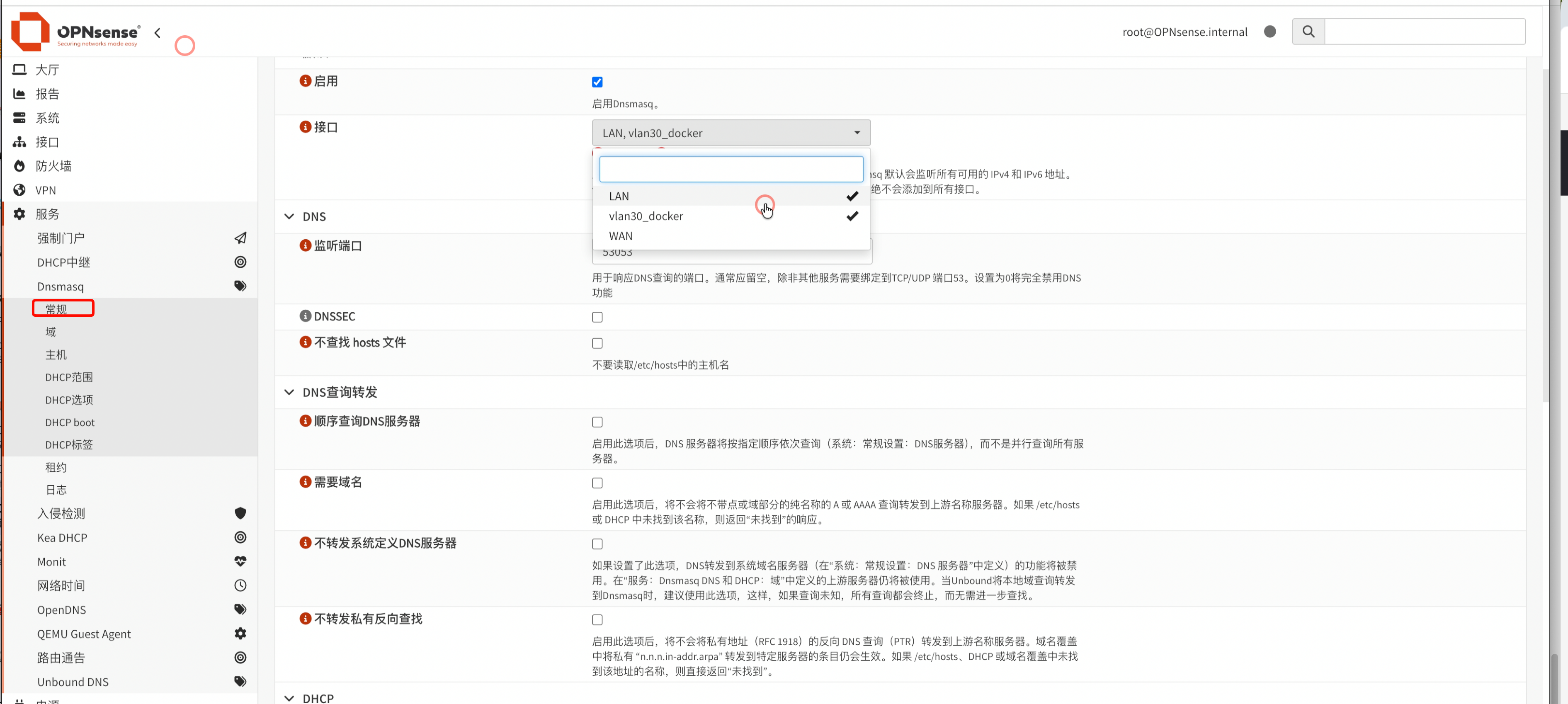 开启 DHCP